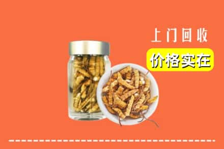 收购资讯:长治市上党回收散虫草