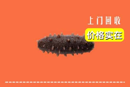 收购资讯:长治市上党回收海参
