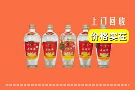 长治市上党回收老五粮液